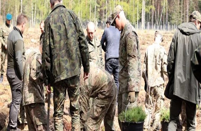 {Żołnierze z Międzynarodowej Grupy Batalionowej NATO włączyli się w akcję sadzenia lasu.}
